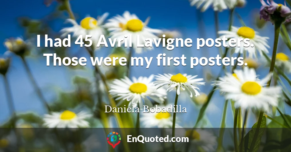 I had 45 Avril Lavigne posters. Those were my first posters.