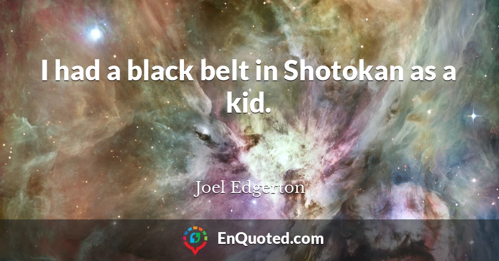 I had a black belt in Shotokan as a kid.