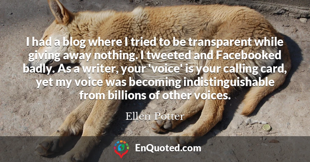 I had a blog where I tried to be transparent while giving away nothing. I tweeted and Facebooked badly. As a writer, your 'voice' is your calling card, yet my voice was becoming indistinguishable from billions of other voices.