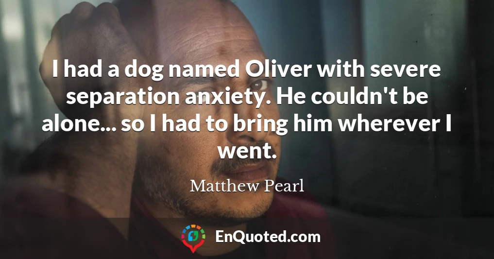 I had a dog named Oliver with severe separation anxiety. He couldn't be alone... so I had to bring him wherever I went.