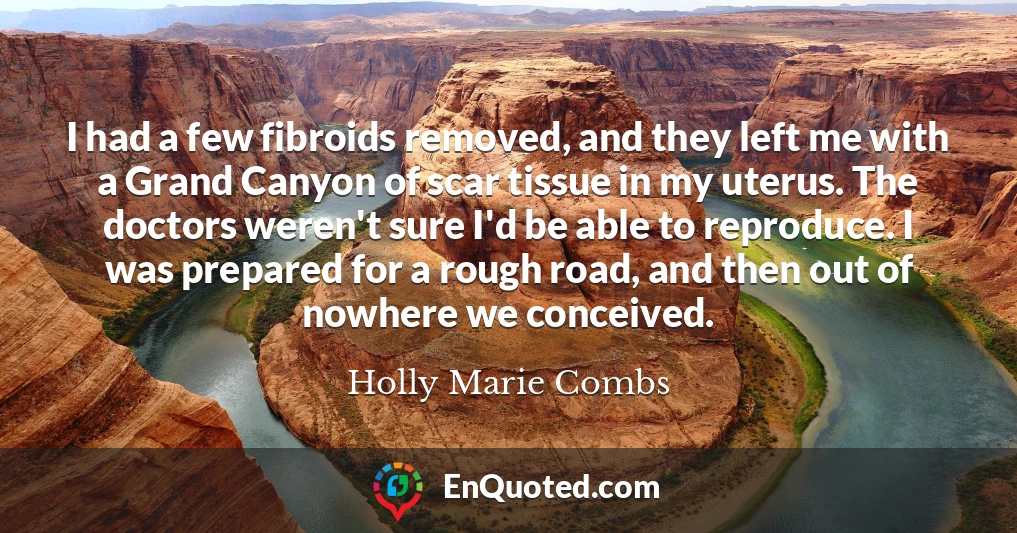 I had a few fibroids removed, and they left me with a Grand Canyon of scar tissue in my uterus. The doctors weren't sure I'd be able to reproduce. I was prepared for a rough road, and then out of nowhere we conceived.