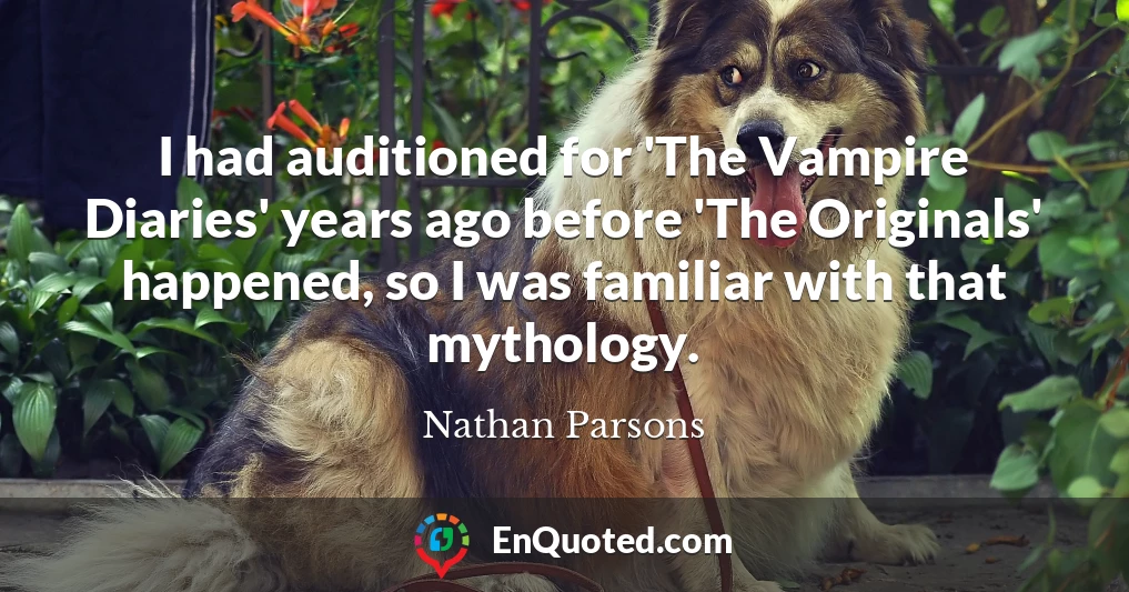 I had auditioned for 'The Vampire Diaries' years ago before 'The Originals' happened, so I was familiar with that mythology.