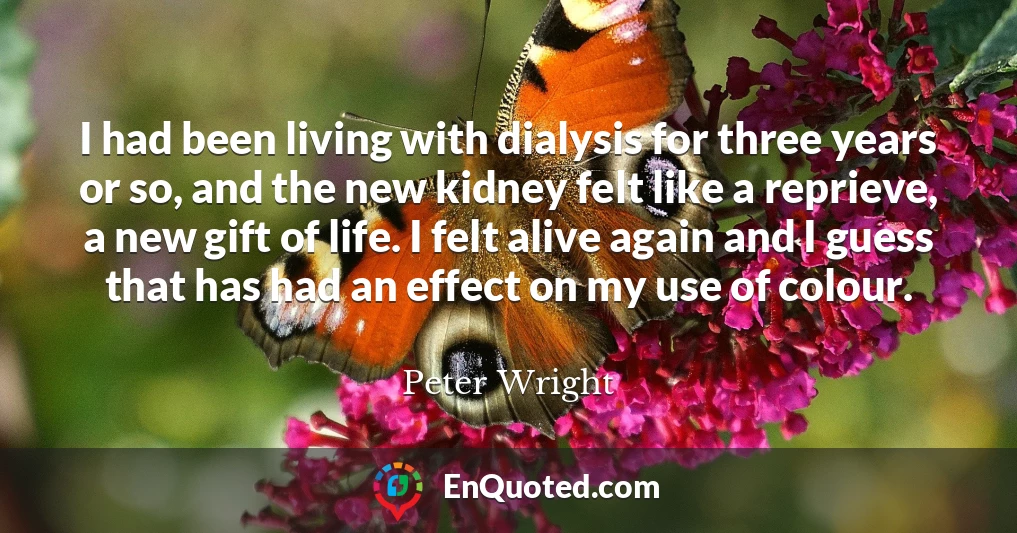 I had been living with dialysis for three years or so, and the new kidney felt like a reprieve, a new gift of life. I felt alive again and I guess that has had an effect on my use of colour.