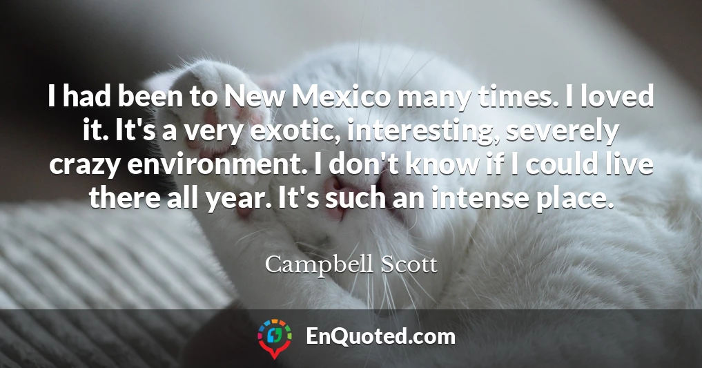 I had been to New Mexico many times. I loved it. It's a very exotic, interesting, severely crazy environment. I don't know if I could live there all year. It's such an intense place.