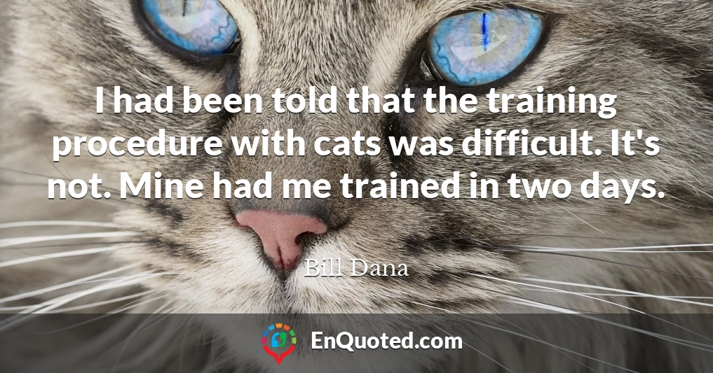 I had been told that the training procedure with cats was difficult. It's not. Mine had me trained in two days.