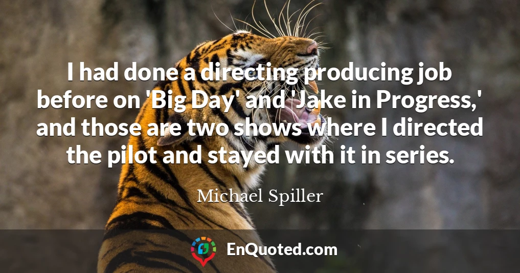 I had done a directing producing job before on 'Big Day' and 'Jake in Progress,' and those are two shows where I directed the pilot and stayed with it in series.