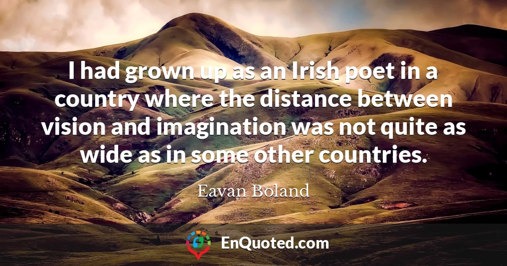 I had grown up as an Irish poet in a country where the distance between vision and imagination was not quite as wide as in some other countries.