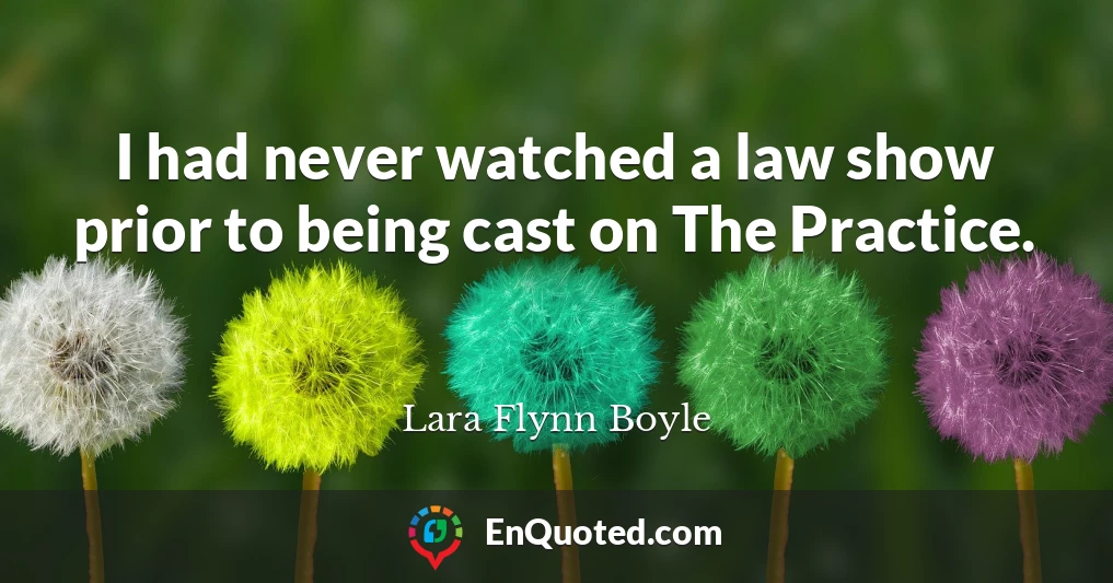 I had never watched a law show prior to being cast on The Practice.