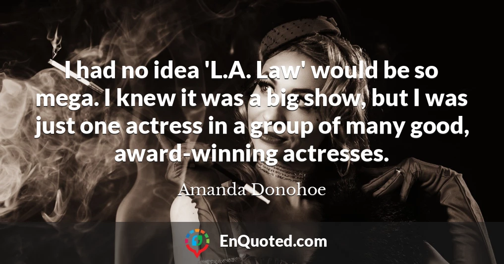 I had no idea 'L.A. Law' would be so mega. I knew it was a big show, but I was just one actress in a group of many good, award-winning actresses.