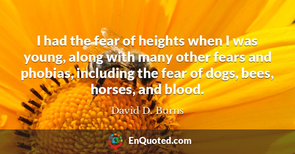 I had the fear of heights when I was young, along with many other fears and phobias, including the fear of dogs, bees, horses, and blood.