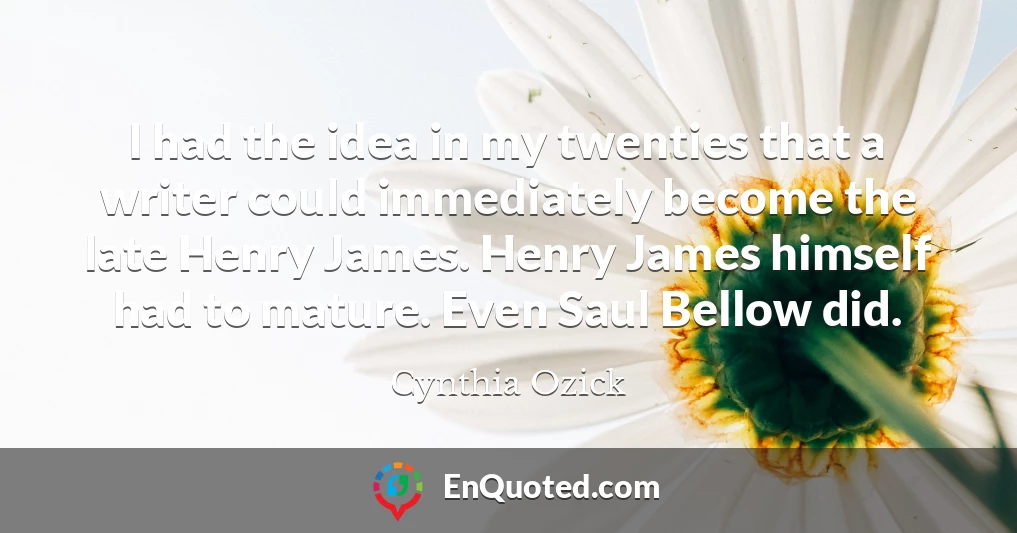 I had the idea in my twenties that a writer could immediately become the late Henry James. Henry James himself had to mature. Even Saul Bellow did.
