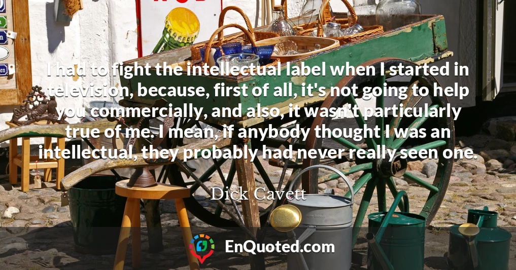 I had to fight the intellectual label when I started in television, because, first of all, it's not going to help you commercially, and also, it wasn't particularly true of me. I mean, if anybody thought I was an intellectual, they probably had never really seen one.