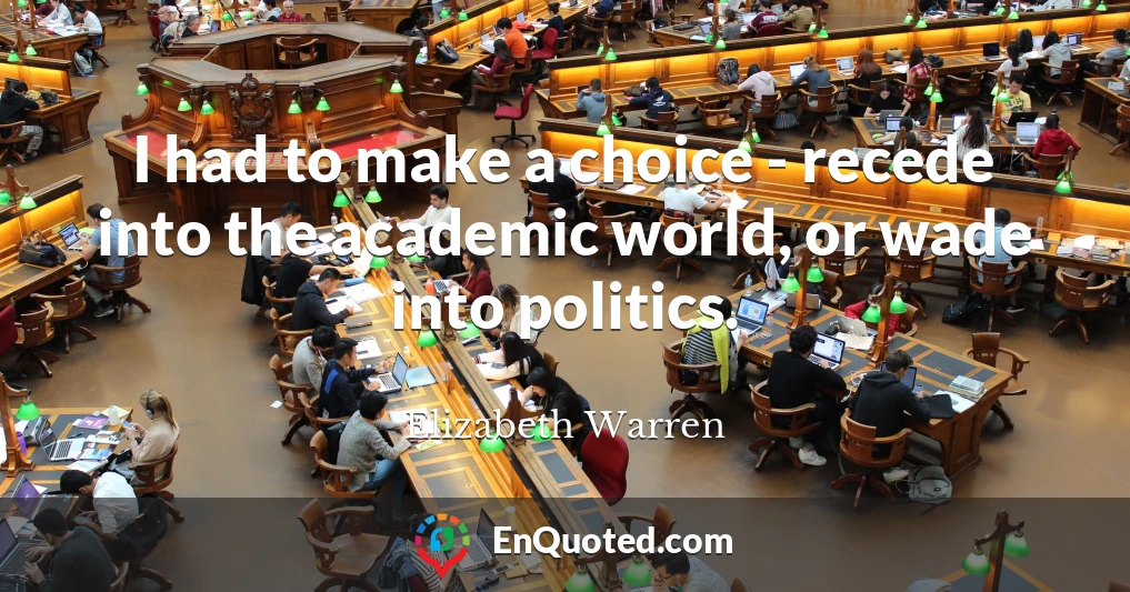 I had to make a choice - recede into the academic world, or wade into politics.