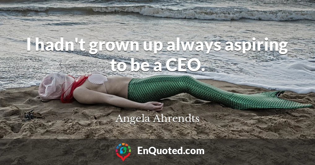 I hadn't grown up always aspiring to be a CEO.