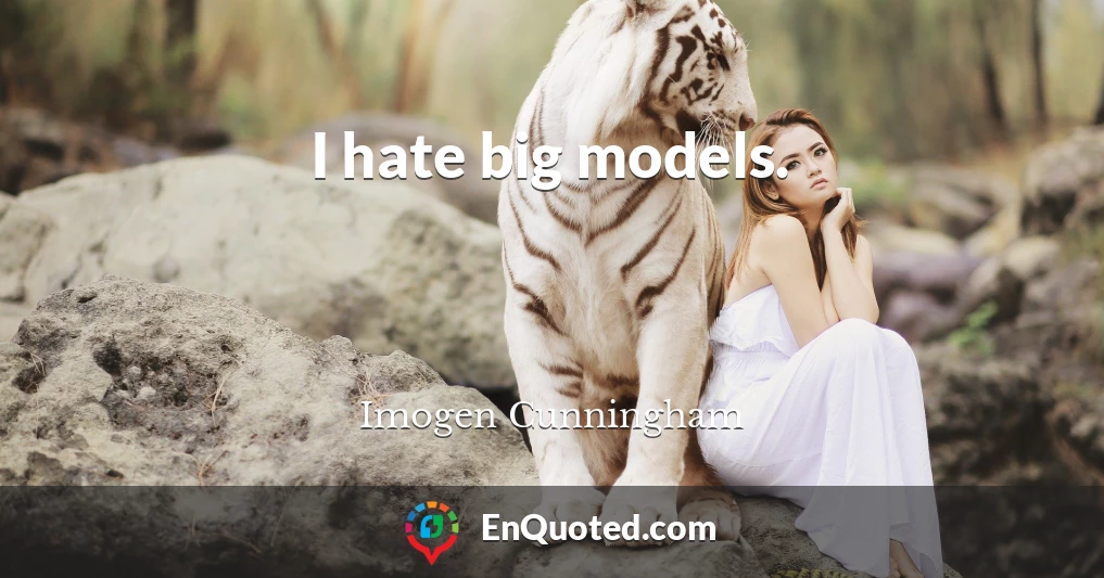 I hate big models.