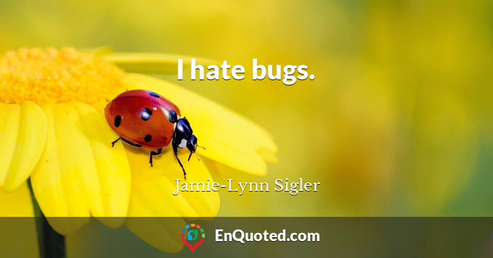 I hate bugs.