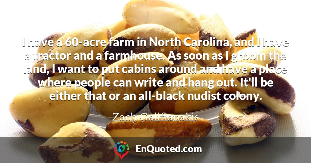 I have a 60-acre farm in North Carolina, and I have a tractor and a farmhouse. As soon as I groom the land, I want to put cabins around and have a place where people can write and hang out. It'll be either that or an all-black nudist colony.