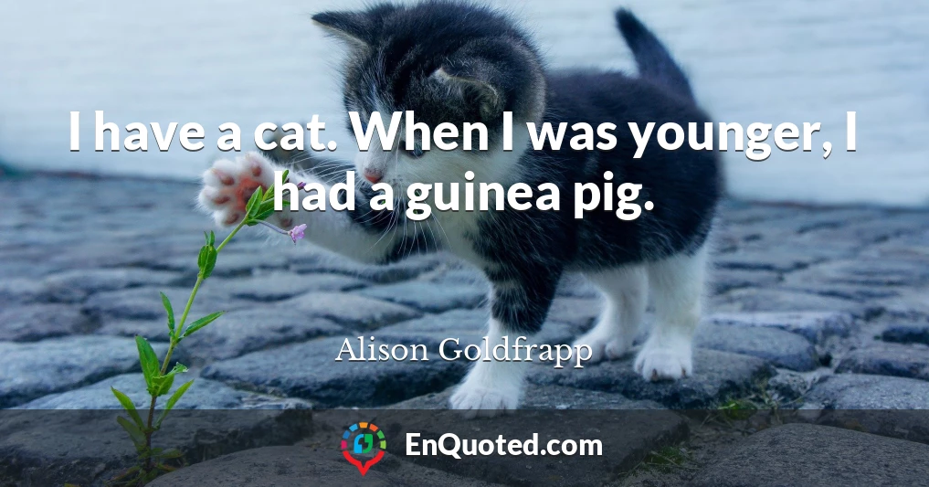 I have a cat. When I was younger, I had a guinea pig.