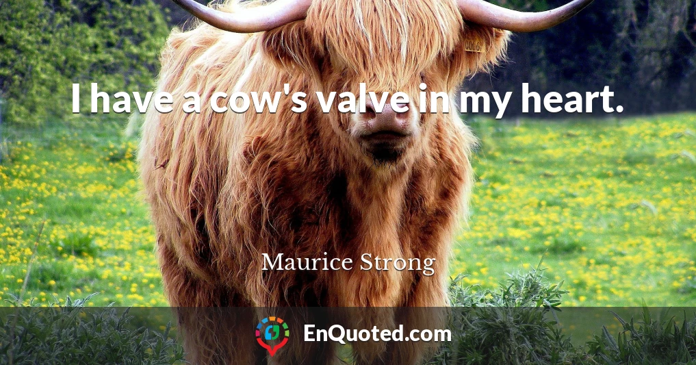 I have a cow's valve in my heart.