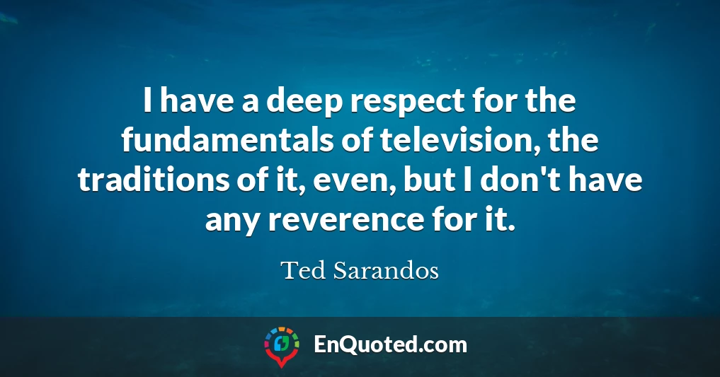 I have a deep respect for the fundamentals of television, the traditions of it, even, but I don't have any reverence for it.