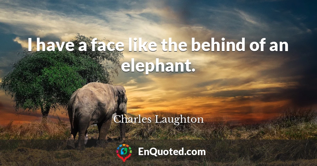 I have a face like the behind of an elephant.