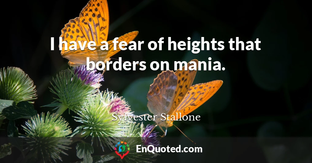 I have a fear of heights that borders on mania.