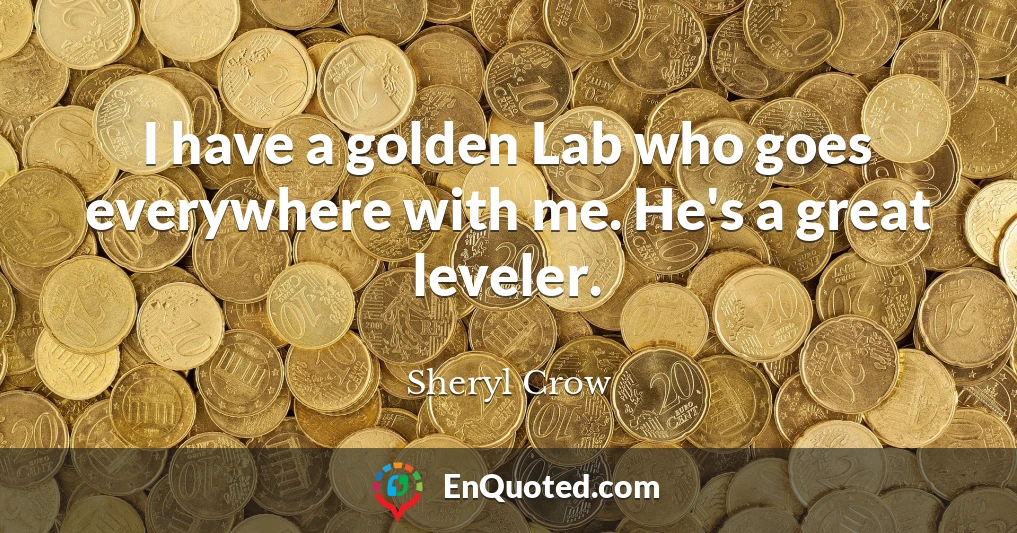 I have a golden Lab who goes everywhere with me. He's a great leveler.