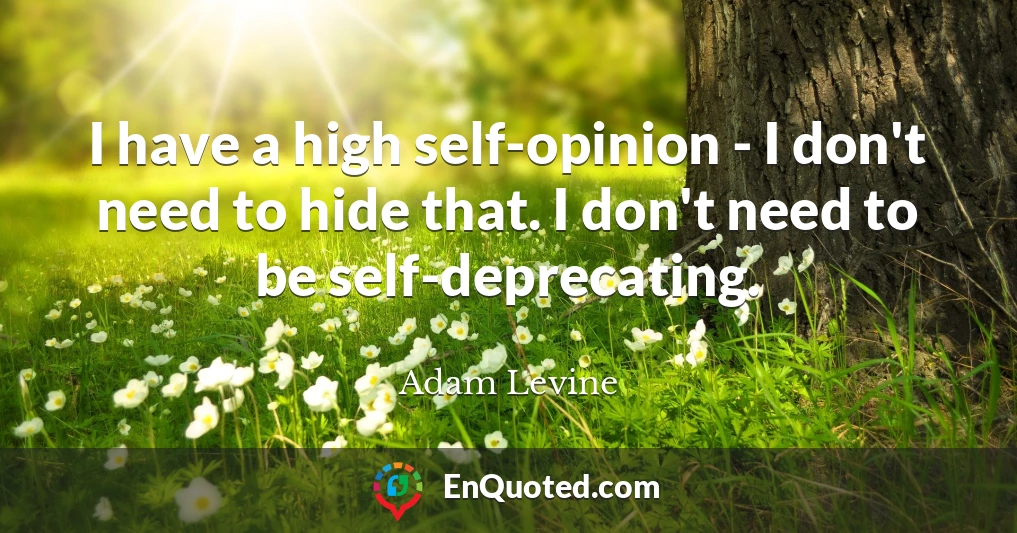 I have a high self-opinion - I don't need to hide that. I don't need to be self-deprecating.