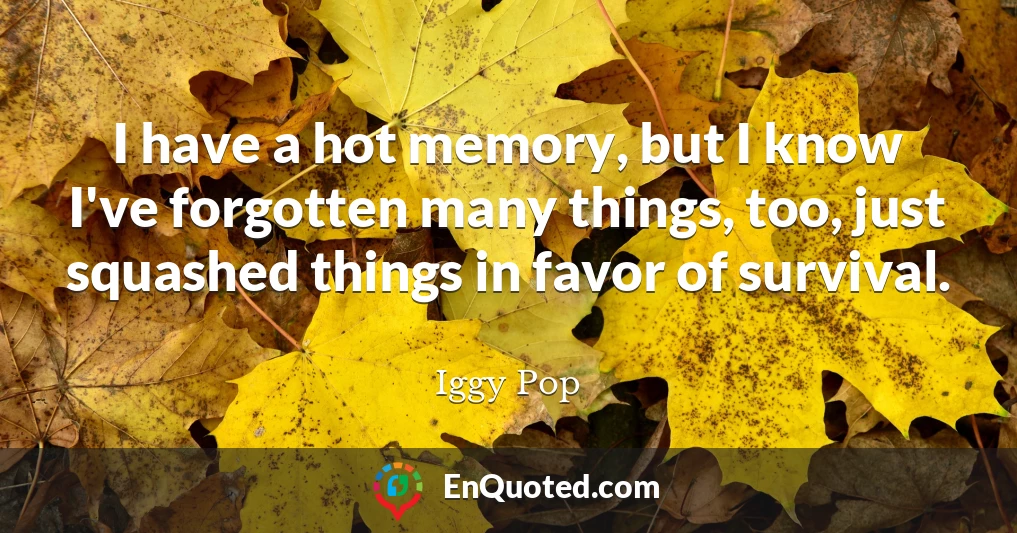 I have a hot memory, but I know I've forgotten many things, too, just squashed things in favor of survival.