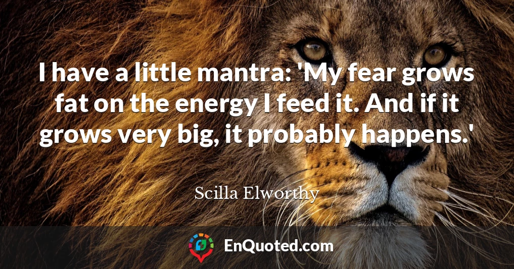 I have a little mantra: 'My fear grows fat on the energy I feed it. And if it grows very big, it probably happens.'