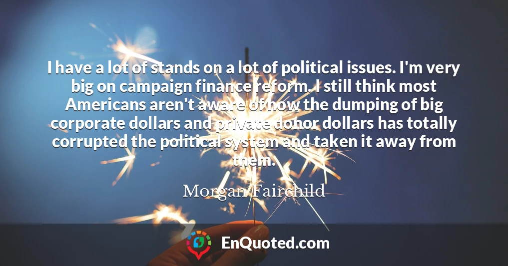I have a lot of stands on a lot of political issues. I'm very big on campaign finance reform. I still think most Americans aren't aware of how the dumping of big corporate dollars and private donor dollars has totally corrupted the political system and taken it away from them.