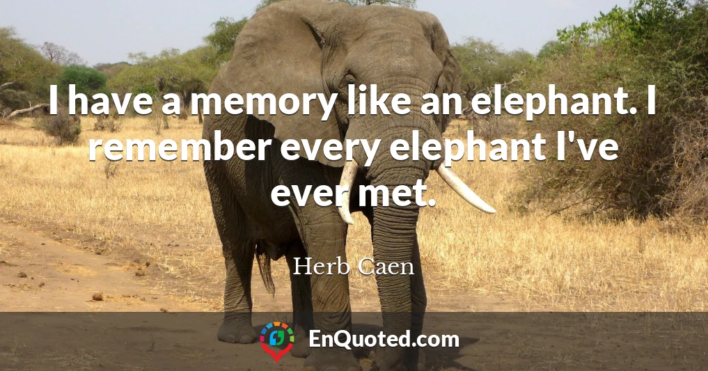 I have a memory like an elephant. I remember every elephant I've ever met.