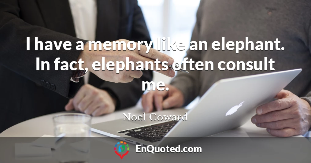 I have a memory like an elephant. In fact, elephants often consult me.