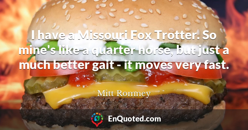 I have a Missouri Fox Trotter. So mine's like a quarter horse, but just a much better gait - it moves very fast.