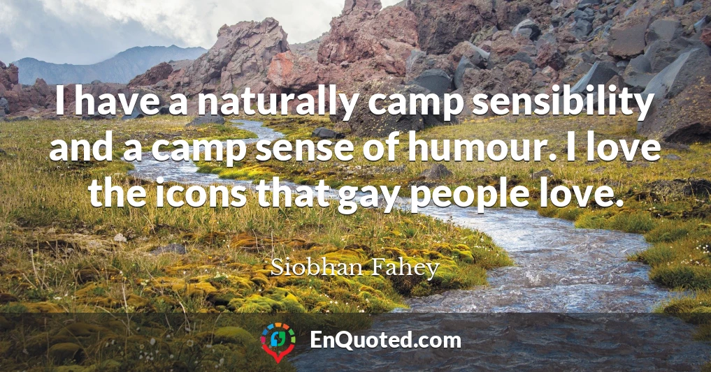 I have a naturally camp sensibility and a camp sense of humour. I love the icons that gay people love.