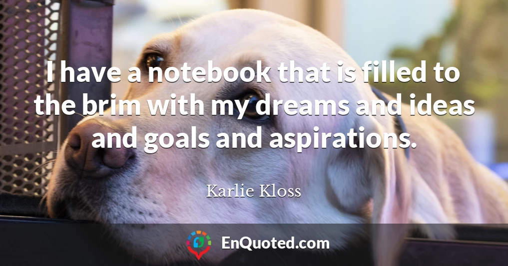 I have a notebook that is filled to the brim with my dreams and ideas and goals and aspirations.