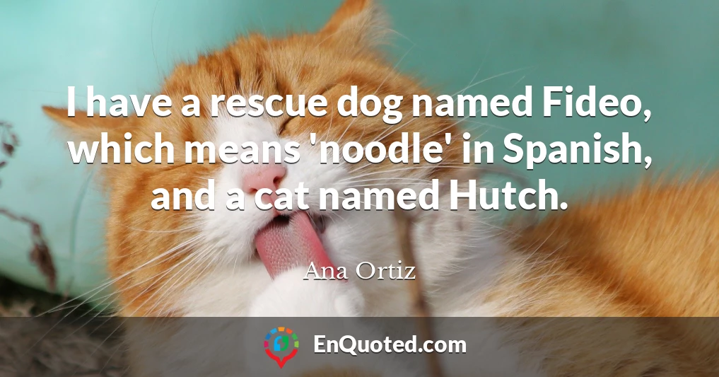 I have a rescue dog named Fideo, which means 'noodle' in Spanish, and a cat named Hutch.