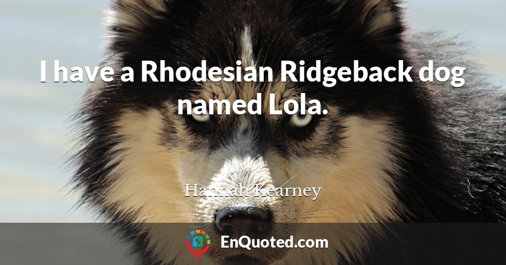 I have a Rhodesian Ridgeback dog named Lola.