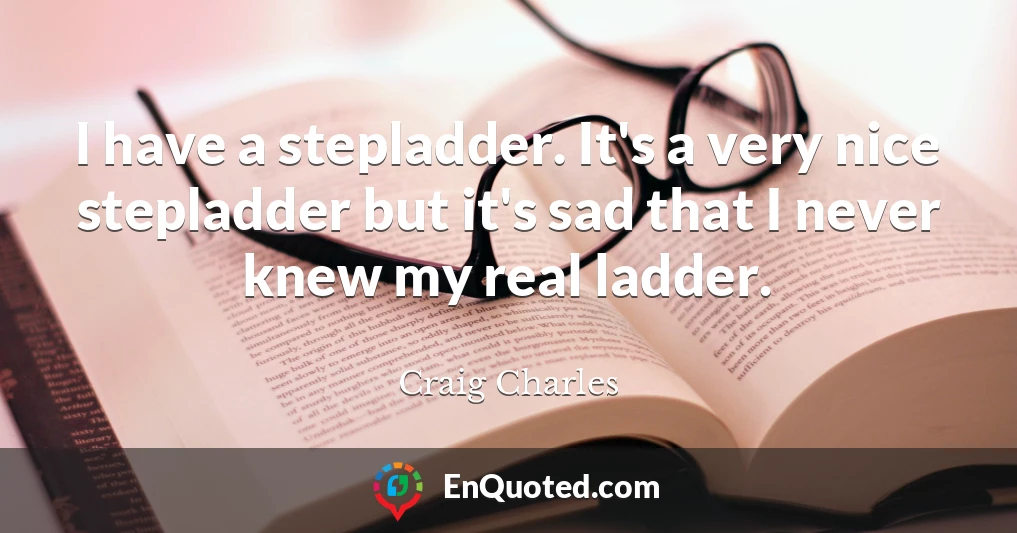 I have a stepladder. It's a very nice stepladder but it's sad that I never knew my real ladder.