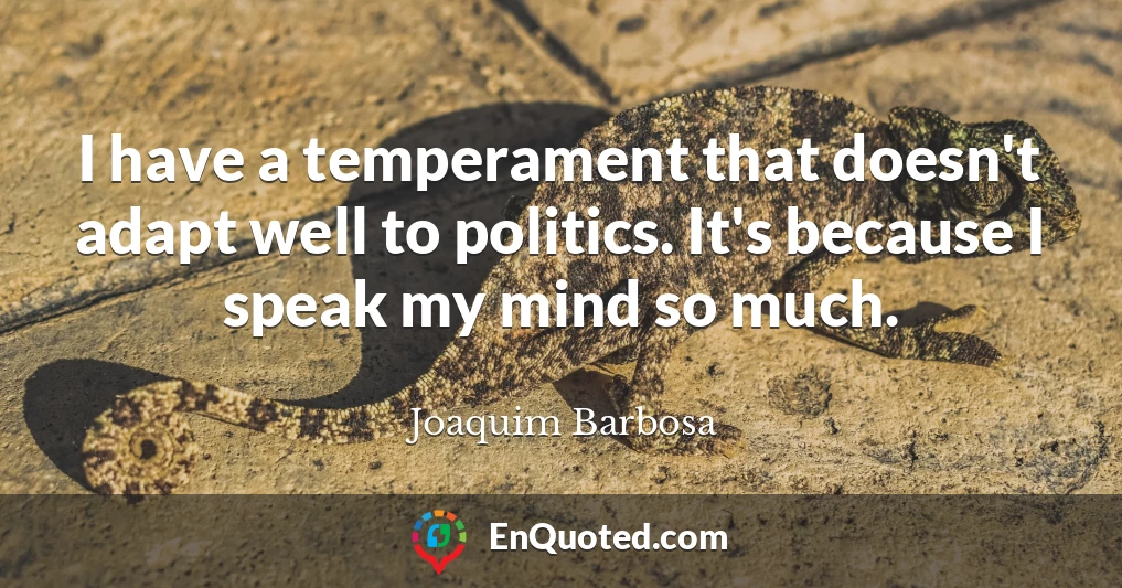 I have a temperament that doesn't adapt well to politics. It's because I speak my mind so much.