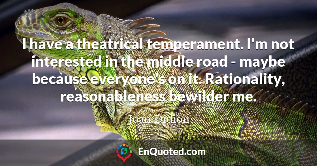 I have a theatrical temperament. I'm not interested in the middle road - maybe because everyone's on it. Rationality, reasonableness bewilder me.