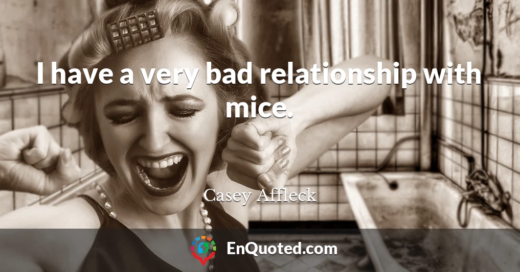 I have a very bad relationship with mice.