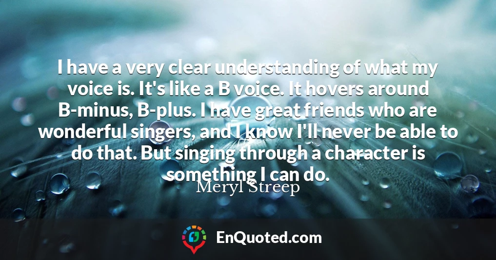 I have a very clear understanding of what my voice is. It's like a B voice. It hovers around B-minus, B-plus. I have great friends who are wonderful singers, and I know I'll never be able to do that. But singing through a character is something I can do.