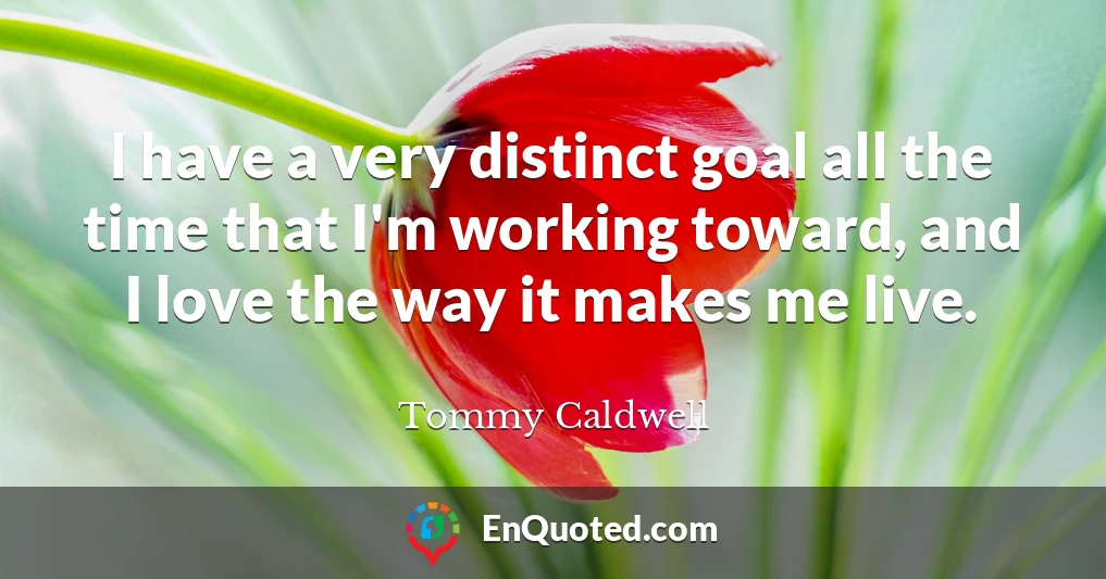 I have a very distinct goal all the time that I'm working toward, and I love the way it makes me live.