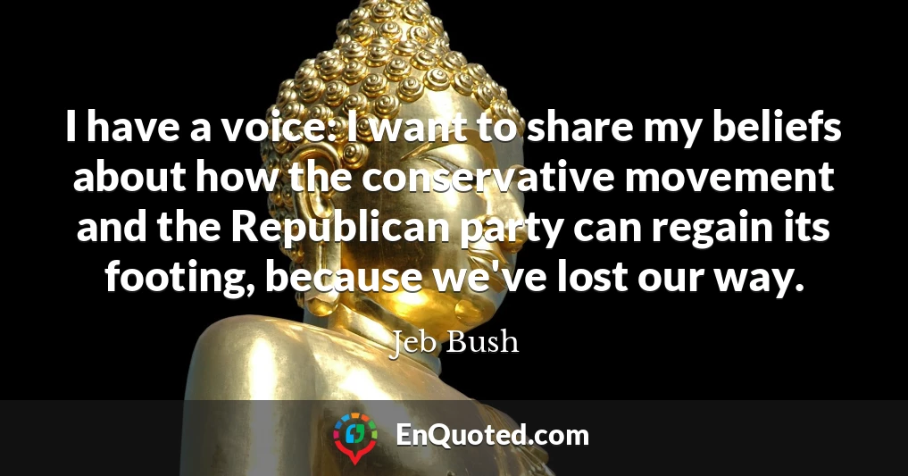 I have a voice: I want to share my beliefs about how the conservative movement and the Republican party can regain its footing, because we've lost our way.
