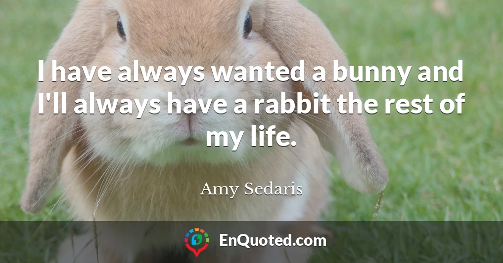 I have always wanted a bunny and I'll always have a rabbit the rest of my life.