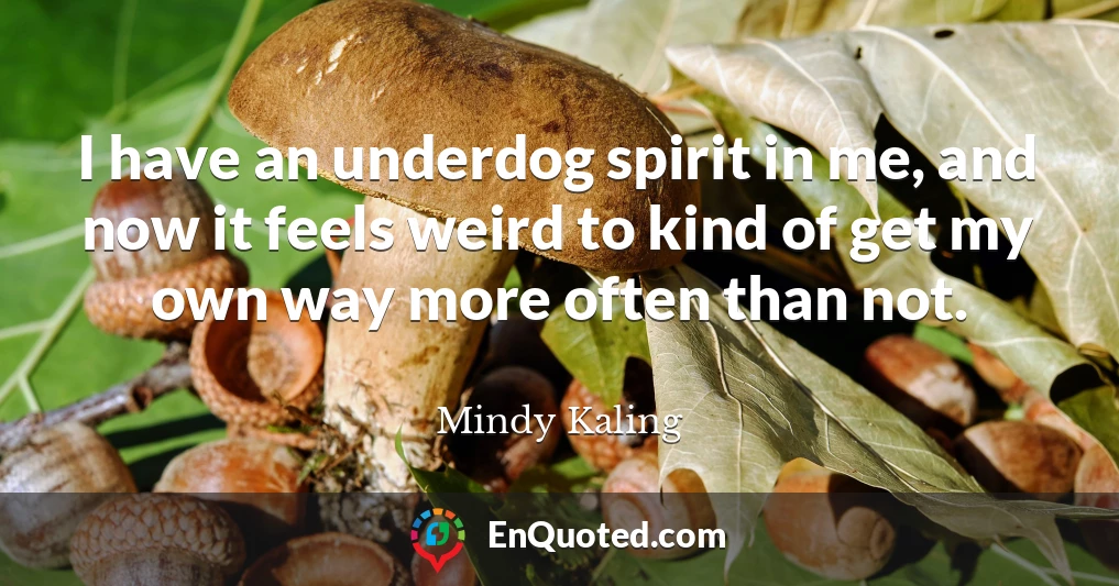 I have an underdog spirit in me, and now it feels weird to kind of get my own way more often than not.