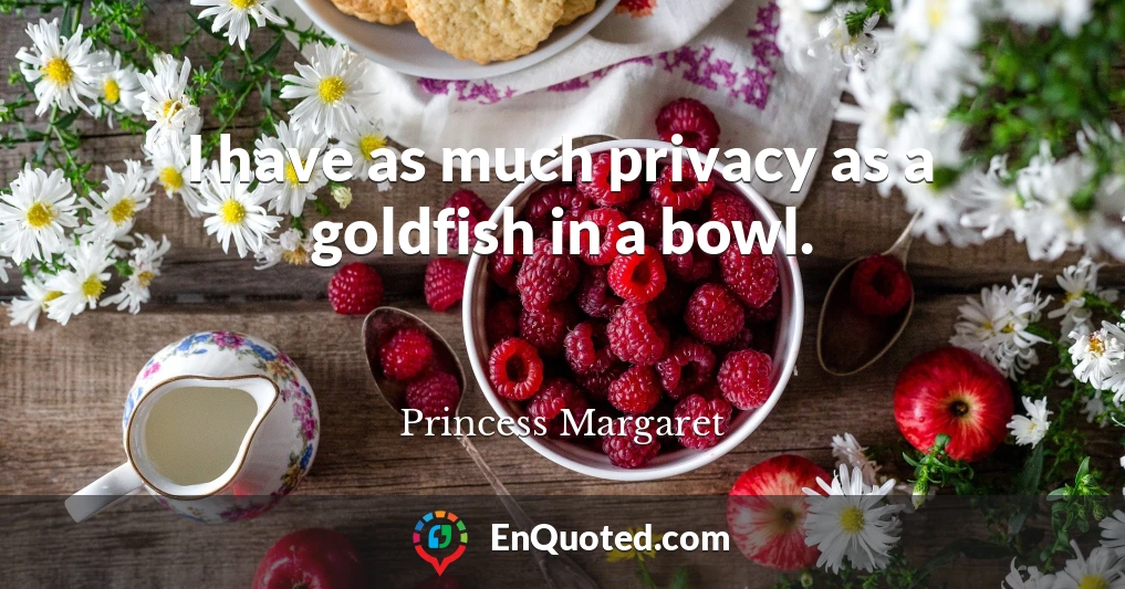 I have as much privacy as a goldfish in a bowl.