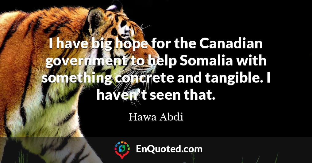 I have big hope for the Canadian government to help Somalia with something concrete and tangible. I haven't seen that.