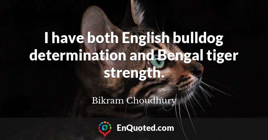 I have both English bulldog determination and Bengal tiger strength.
